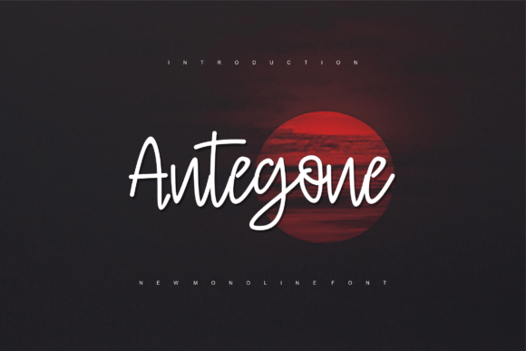 Antegone: Adding Vintage Charm to a Boutique Brand Identity
