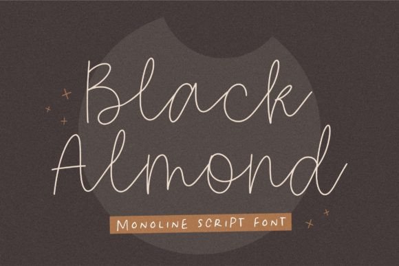 Black Almond: A Clean Script Font for Elegant Web Design